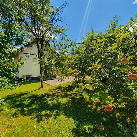 Vila Tetmajera View & Garden Dębica Exteriér fotografie
