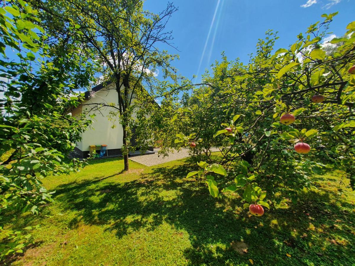 Vila Tetmajera View & Garden Dębica Exteriér fotografie