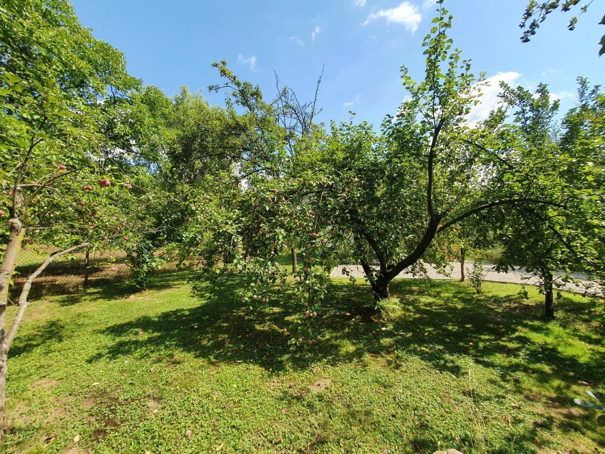 Vila Tetmajera View & Garden Dębica Exteriér fotografie